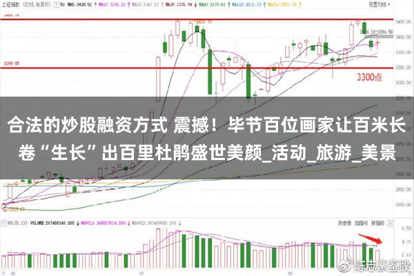 合法的炒股融资方式 震撼！毕节百位画家让百米长卷“生长”出百里杜鹃盛世美颜_活动_旅游_美景
