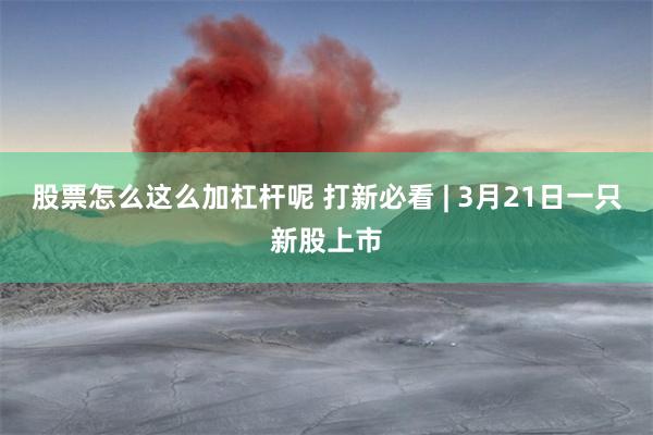 股票怎么这么加杠杆呢 打新必看 | 3月21日一只新股上市