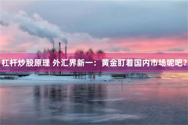 杠杆炒股原理 外汇界新一：黄金盯着国内市场呢吧？
