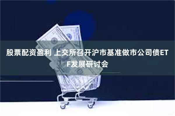 股票配资盈利 上交所召开沪市基准做市公司债ETF发展研讨会