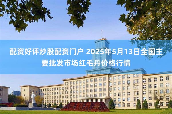 配资好评炒股配资门户 2025年5月13日全国主要批发市场红毛丹价格行情