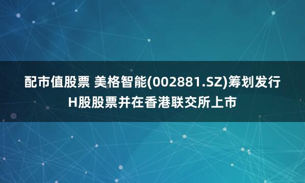配市值股票 美格智能(002881.SZ)筹划发行H股股票并在香港联交所上市