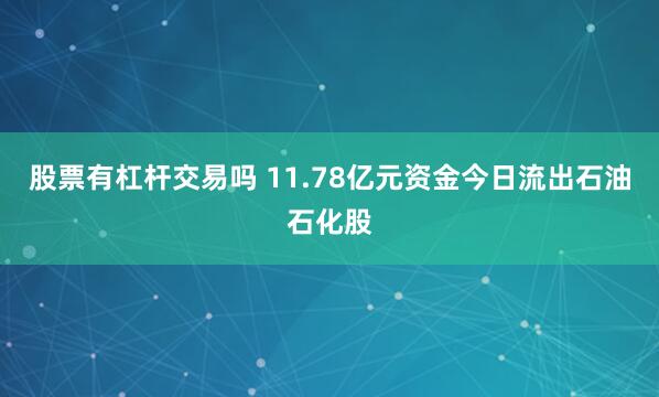 股票有杠杆交易吗 11.78亿元资金今日流出石油石化股
