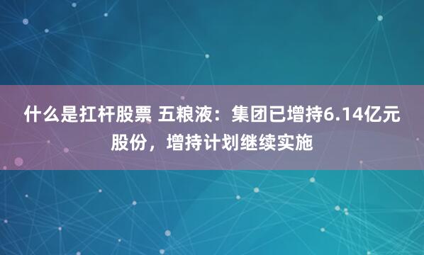 什么是扛杆股票 五粮液：集团已增持6.14亿元股份，增持计划继续实施