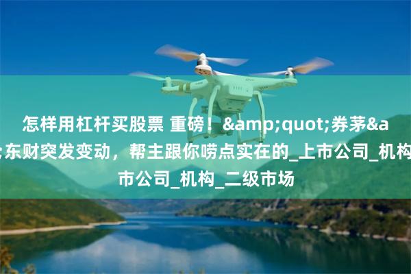 怎样用杠杆买股票 重磅！&quot;券茅&quot;东财突发变动，帮主跟你唠点实在的_上市公司_机构_二级市场