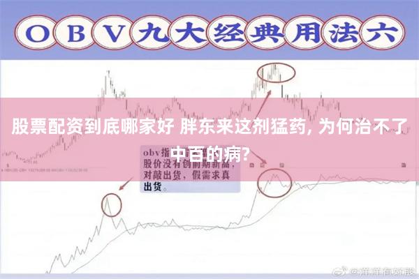股票配资到底哪家好 胖东来这剂猛药, 为何治不了中百的病?
