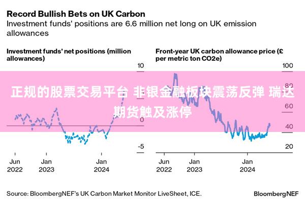 正规的股票交易平台 非银金融板块震荡反弹 瑞达期货触及涨停