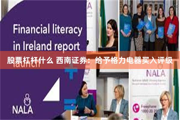 股票杠杆什么 西南证券：给予格力电器买入评级